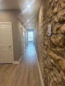 Renovated 5 Bedroom Apartment Downtown! - Photo 12