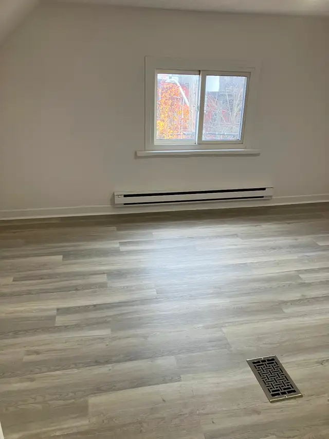 Cozy 1 Bedroom Centretown Apartment for Rent (544 Bay St) - Photo 5