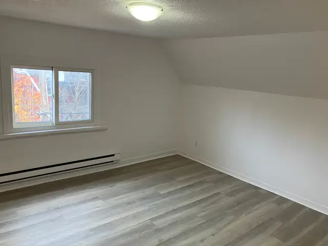 Cozy 1 Bedroom Centretown Apartment for Rent (544 Bay St) - Photo 6