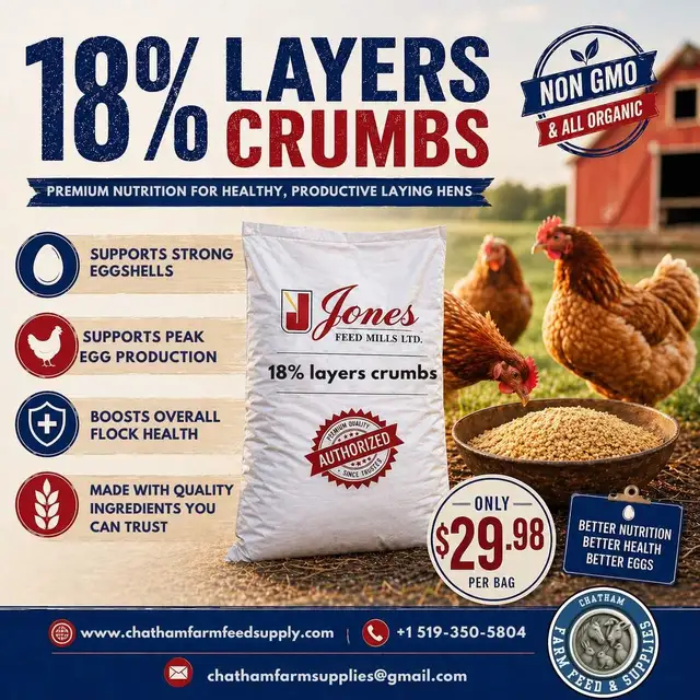 Jones 18% Layer crumb
