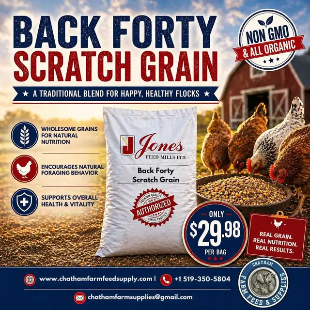 Back Forty Scratch Grain