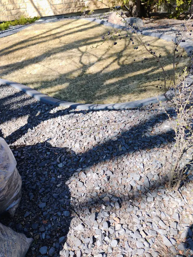 Professional Tree & Shrub Pruning Services