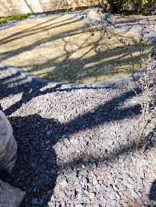 Professional Tree & Shrub Pruning Services
