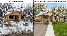 Professional Tree & Shrub Pruning Services - Photo 5