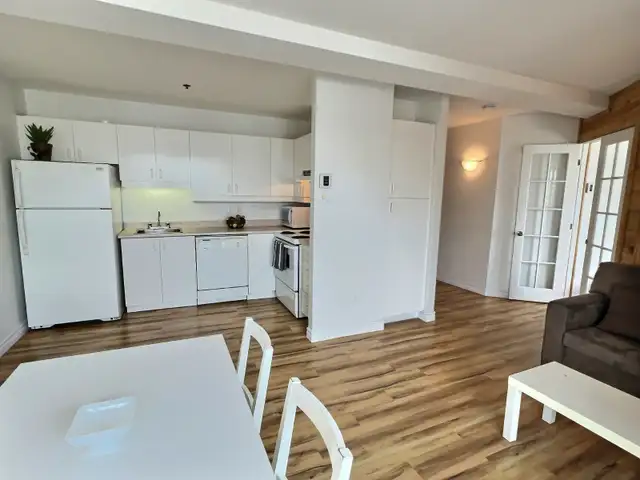 Condo 3 1/2 meublé et tout inclus – Montcalm / St-Jean-Baptiste - Photo 5