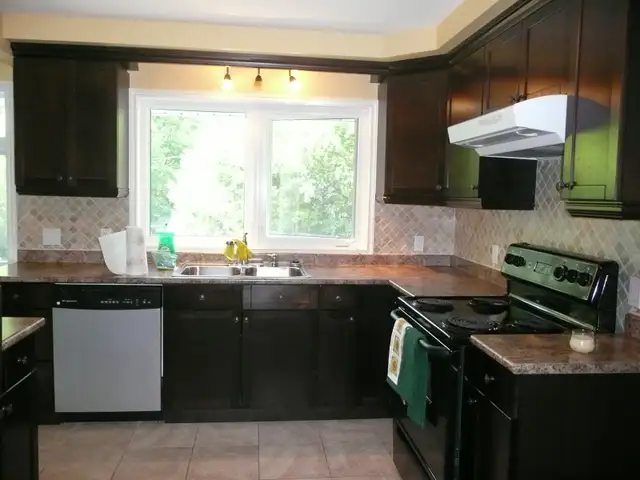 5 Bedroom house in Billings Bridge for students, $3750/month