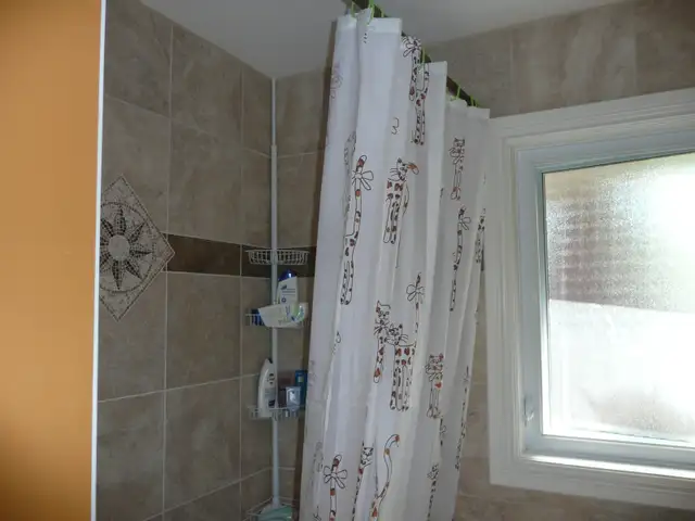5 Bedroom house in Billings Bridge for students, $3750/month - Photo 5