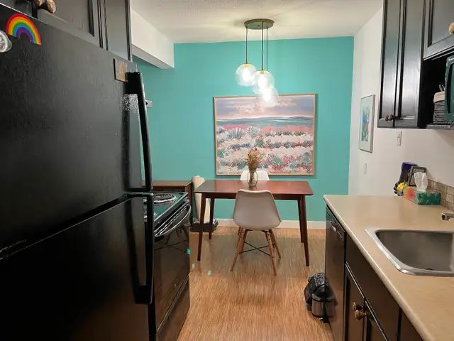 Beautiful 1Bdrm condo on the River! - Photo 10