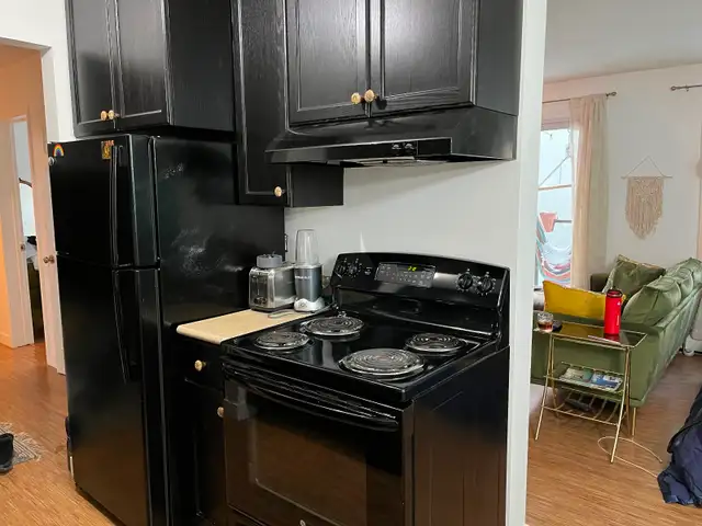 Beautiful 1Bdrm condo on the River! - Photo 11