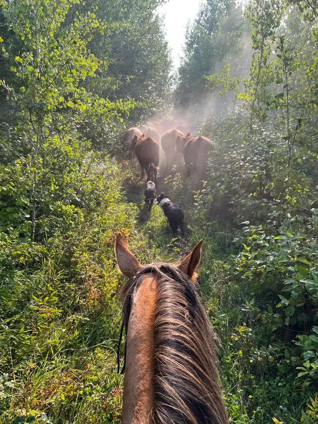 From Green to Great: Training Through Miles and Exposure - Photo 4