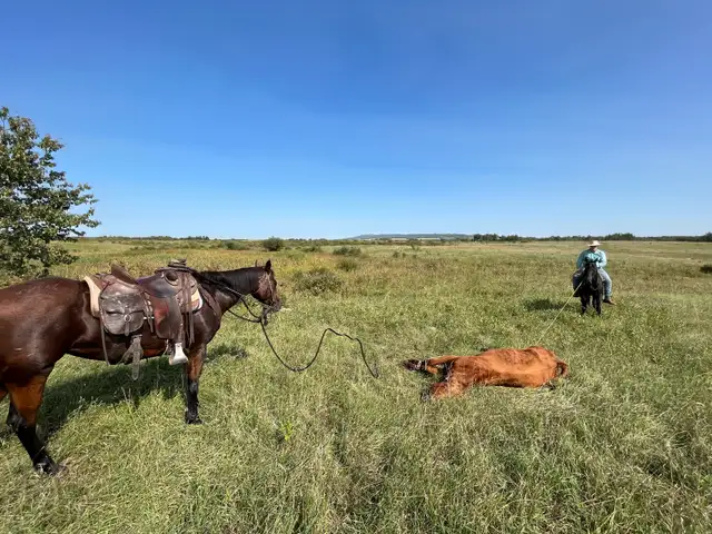 From Green to Great: Training Through Miles and Exposure - Photo 5
