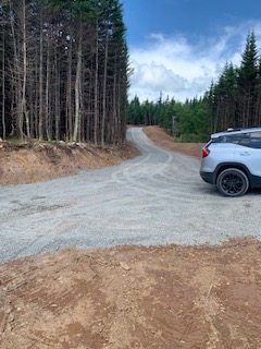 Prime Cottage Land For Sale in Placentia Junction