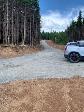 Prime Cottage Land For Sale in Placentia Junction