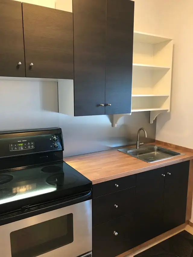 Centertown Ottawa 2 bedroom - Photo 3