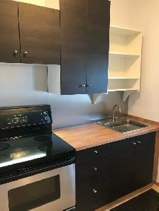 Centertown Ottawa 2 bedroom - Photo 3