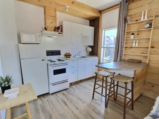 Studio tout inclus – Meublé – Limoilou - Photo 4