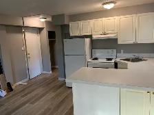 One B/R newly renovated unit in Beltline (downtown)