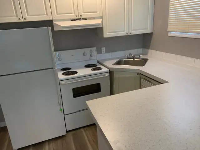 One B/R newly renovated unit in Beltline (downtown) - Photo 2
