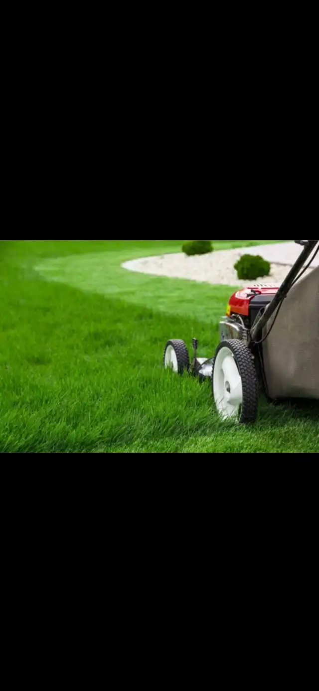 Grass Cutting