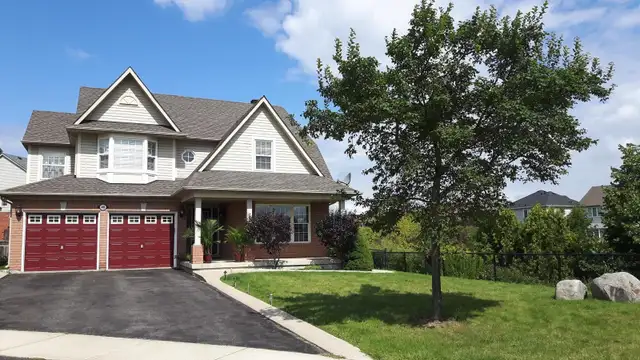 Newly Renovated 2 Bedroom Basement Apartment for Rent