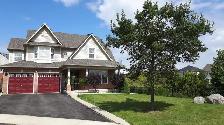 Newly Renovated 2 Bedroom Basement Apartment for Rent - Photo 11