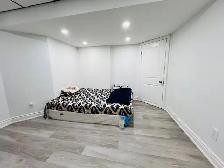 Newly Renovated 2 Bedroom Basement Apartment for Rent - Photo 16