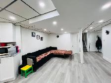 Newly Renovated 2 Bedroom Basement Apartment for Rent - Photo 18