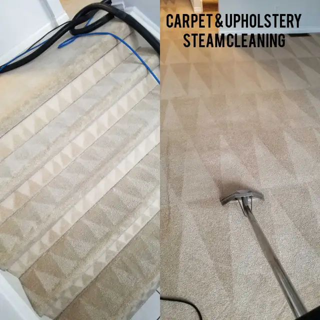 Sofa Cleaning,Rug Cleaning,Carpet Cleaning,Steam Cleaning - Photo 7