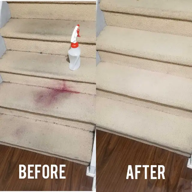 Sofa Cleaning,Rug Cleaning,Carpet Cleaning,Steam Cleaning - Photo 9