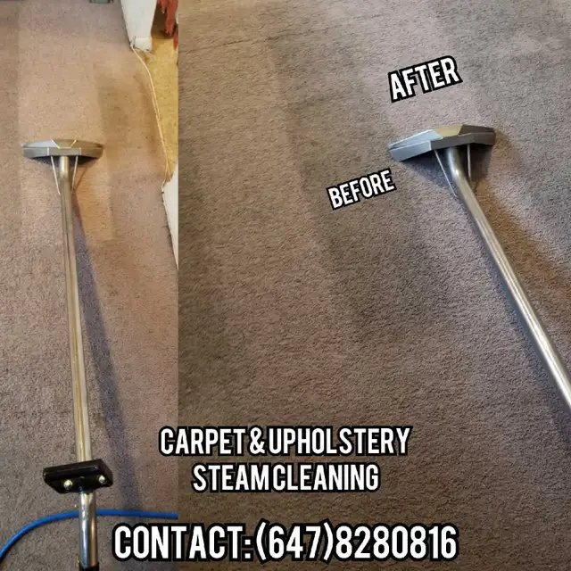 Sofa Cleaning,Rug Cleaning,Carpet Cleaning,Steam Cleaning - Photo 10