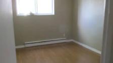 Queen's Students – 3 Bedroom Apt – Available September 1 - Photo 3