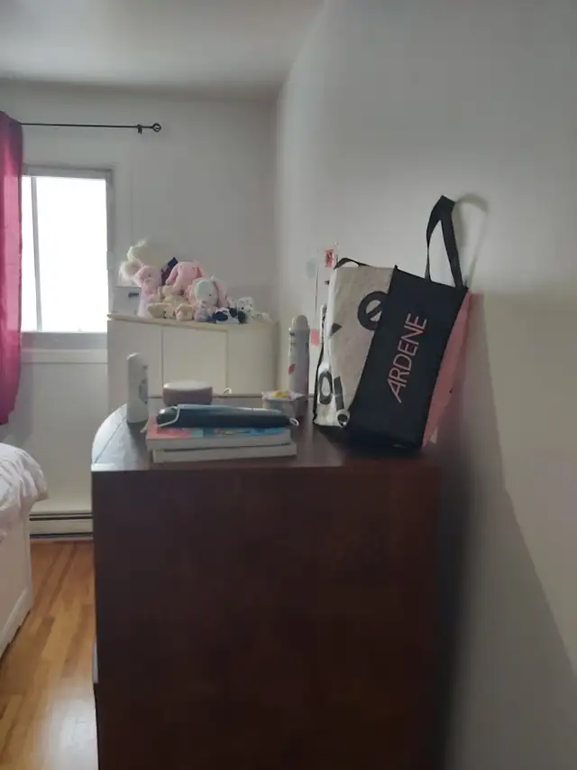 À Boisbriand Logement  à louer (4 1/2 - 1325$/mois) - Photo 2