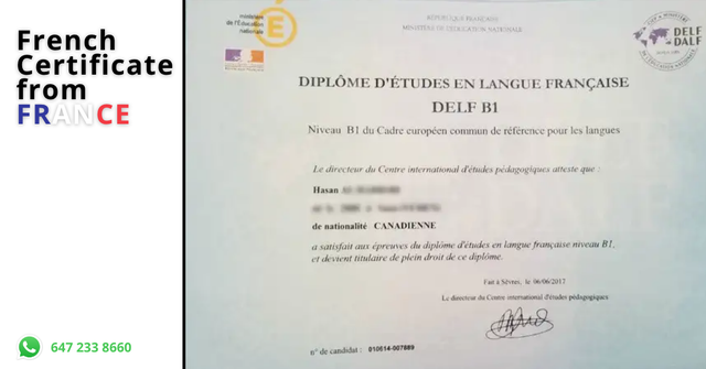 MASTER FRENCH — FROM BEGINNER TO IB LEVEL - Photo 2