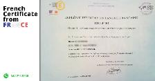 MASTER FRENCH — FROM BEGINNER TO IB LEVEL - Photo 2