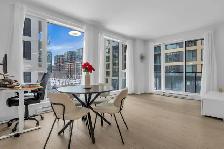 4 1/2 à louer au cœur de Griffintown - - Photo 8