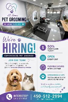 hiring pet groomer