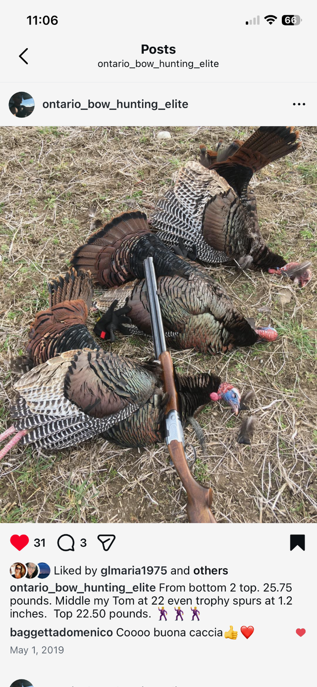 Turkey Hunting north or Toronto 2026 Season