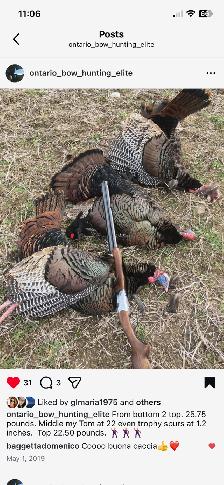 Turkey Hunting north or Toronto 2026 Season
