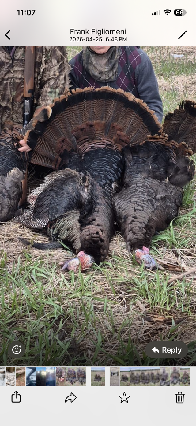 Turkey Hunting north or Toronto 2026 Season - Photo 3