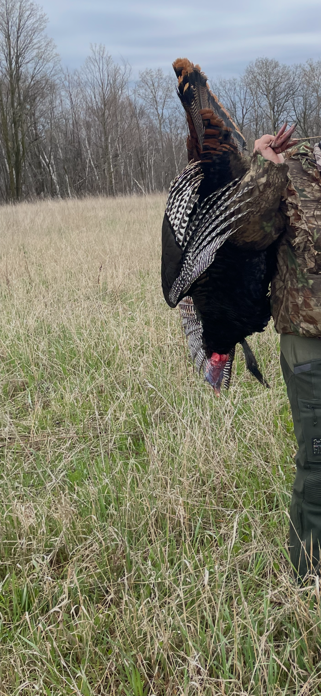 Turkey Hunting north or Toronto 2026 Season - Photo 4
