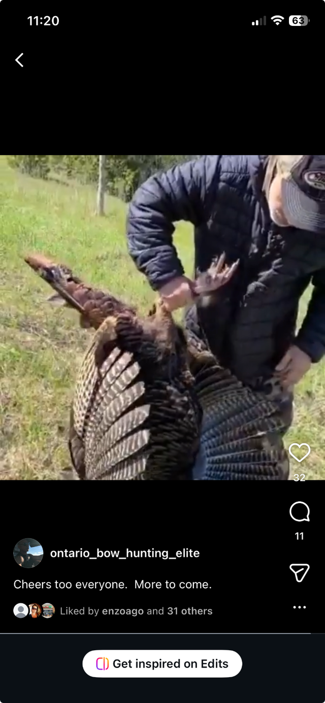 Turkey Hunting north or Toronto 2026 Season - Photo 6