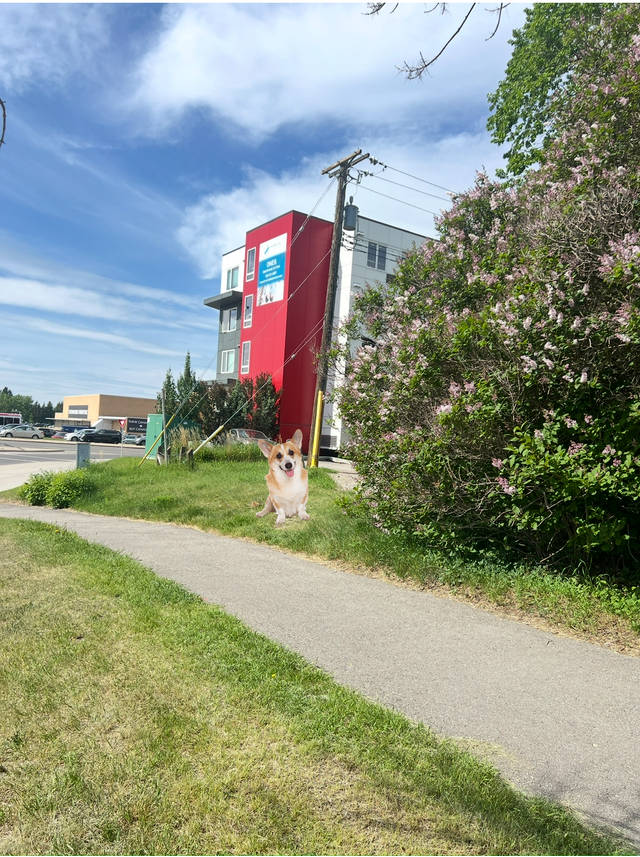 3 min Walk to SAIT - Private parking for rent - Photo 4