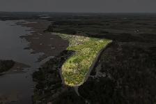 35 Acres, over 1000 ft of natural waterfront