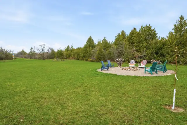 35 Acres, over 1000 ft of natural waterfront - Photo 4
