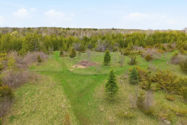 35 Acres, over 1000 ft of natural waterfront - Photo 6
