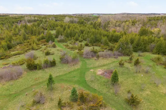 35 Acres, over 1000 ft of natural waterfront - Photo 7