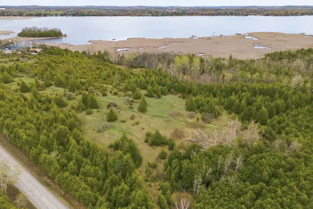 35 Acres, over 1000 ft of natural waterfront - Photo 8