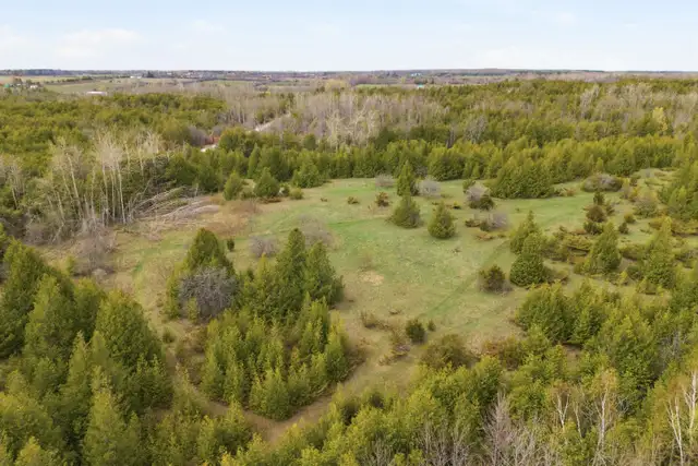 35 Acres, over 1000 ft of natural waterfront - Photo 9