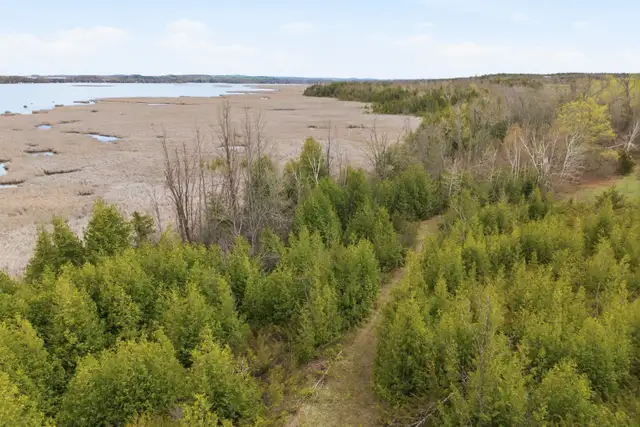 35 Acres, over 1000 ft of natural waterfront - Photo 10