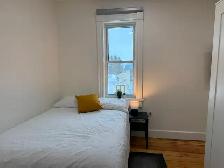 Newly Renovated, Fully Furnished 1-Bedroom in Cargill - Photo 2